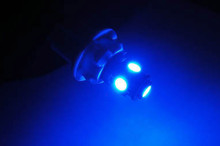 LEDs Azuis W5W - T10