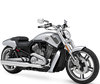 LEDs e Kits Xénon HID para Harley-Davidson V-Rod Muscle 1250