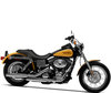 LEDs e Kits Xénon HID para Harley-Davidson Low Rider 1450