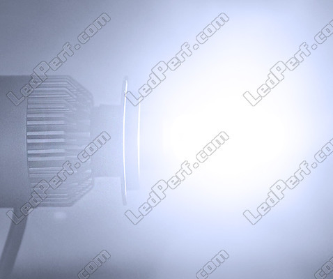 Lâmpada LED H1 COB Moto Kit LED Alto Desempenho H1