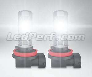 Lâmpadas LED H11 Osram LEDriving Standard para Faróis de nevoeiro em operação