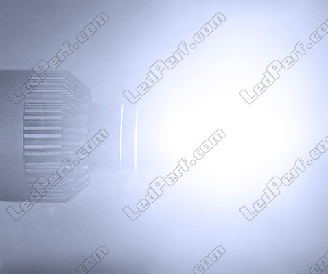 Prestação H7 LED para veículos VW Audi Skoda Seat Porsche e Mercedes