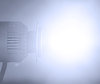 Lâmpada LED COB H8 Moto