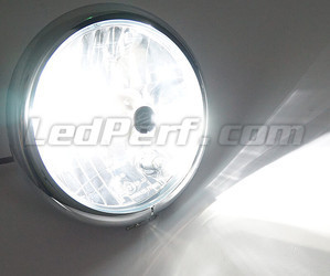 Lâmpada HB4 LED moto   ajustável - Iluminação Branco puro