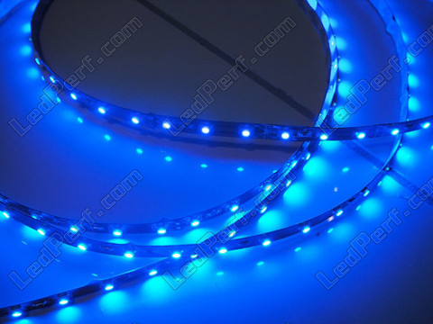 Banda flexível LEDs smd 24V separável Azul