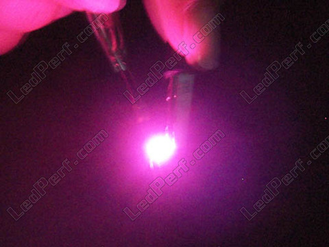 LED smd TL rosa Mostrador e Painel de instrumentos carro - PLCC-2 - 3528