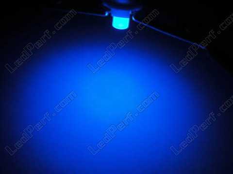 LED em suporte azul T5 w1.2w