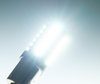 Iluminação Lâmpada P21/5W LED BAY15D Ultimate Ultra Potente