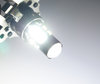 Lâmpada PH16W LED Branco Puro LEDs Ao Pormenor LEDs PH16W