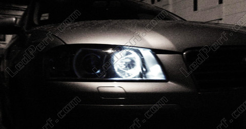 Luzes de presença (mínimos) LEDs Audi A3 a LEDs anti-erro OBD xénon