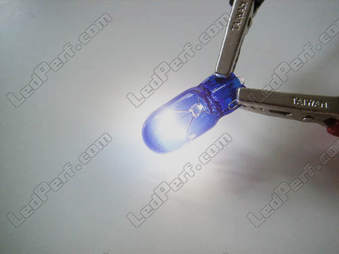 Lâmpada W16W - Casquilho T15 Halogéneo Blue vision Xénon Efeito LED