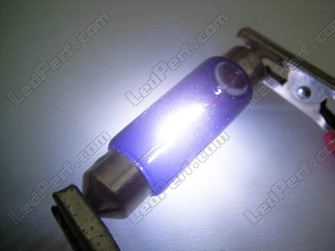 Lâmpada 42mm C10W Halogéneo Blue vision Xénon Efeito LED