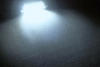 LED Festoon Luz de Teto, Bagageira, porta-luvas, chapa de matrícula branco 29mm - C3W