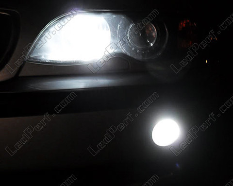 Pack lâmpadas LEDs Faróis de nevoeiro Xénon  para BMW Serie 3 (E46)
