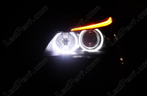 LED Angel eyes BMW Serie 5 (F10 F11)