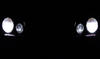 LED luzes de presença (mínimos) Mercedes CLK (W208)