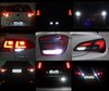LED Luz de marcha atrás Nissan Navara IV (D23) Tuning