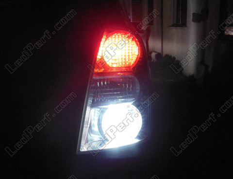 LED Luz de marcha atrás Toyota Corolla Verso
