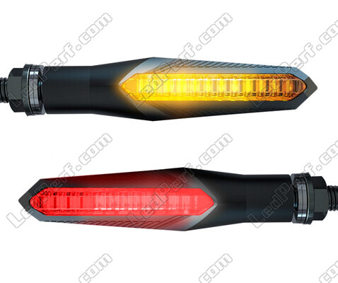 Piscas LED dinâmicos 3 em 1 para BMW Motorrad C 650 Sport