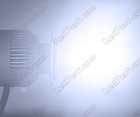 Kit LED COB All in One KTM EXC 150 (2020 - 2023)