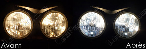 LED Luzes de presença (mínimos) branco xénon Triumph Street Triple Speed Triple