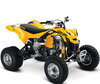 Quad Can-Am DS 450 (2009 - 2016)