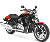 Motocicleta Harley-Davidson Street Rod 1130 (2005 - 2007)