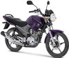Motocicleta Yamaha YBR 125 (2010 - 2013) (2010 - 2013)