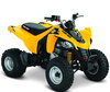 Quad Can-Am DS 250 (2010 - 2016)