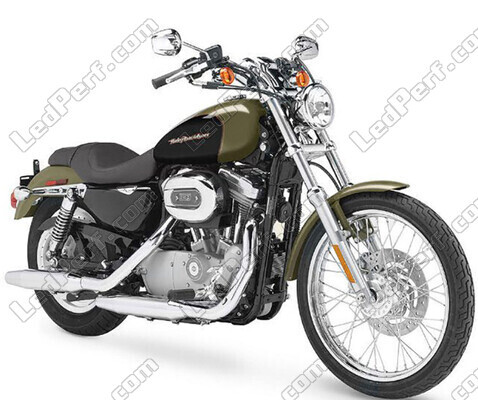 Motocicleta Harley-Davidson Custom 883 (1999 - 2009)