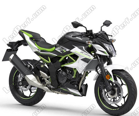 Motocicleta Kawasaki Z125 (2018 - 2023)
