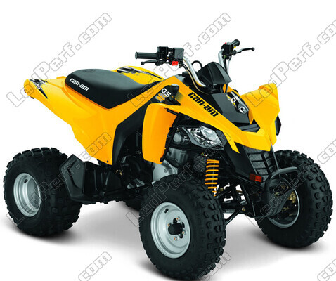 Quad Can-Am DS 250 (2010 - 2016)