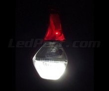 Pack LEDs (branco 6000K) luzes de marcha atrás para Dacia Lodgy