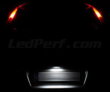 Pack LEDs (branco 6000K) chapa de matrícula traseira para Fiat Punto MK2