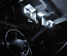 Pack interior luxo full LEDs (branco puro) para Peugeot 207