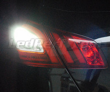 Pack LEDs (branco 6000K) luzes de marcha atrás para Peugeot 308 II