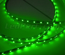 Banda flexível  24V de 50cm (30 LEDs cms) verde