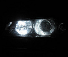 Pack de luzes de presença de LED (branco xénon) para Alfa Romeo 156