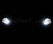 Pack de luzes de presença de LED (branco xénon) para Citroen Xsara Picasso