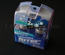 Pack de 2 lâmpadas H10 MTEC Cosmos Blue - Branco xénon