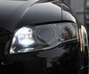 Pack luzes de circulação diurna (branco xénon) para Audi A4 B7