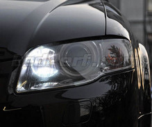 Pack luzes de circulação diurna (branco xénon) para Audi A4 B7