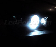 Pack de luzes de presença de LED (branco xénon) para Alfa Romeo 159