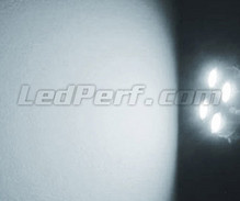 Pack de luzes de presença de LED (branco xénon) para Jaguar XJ8