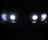 Pack lâmpadas de faróis Xénon Efeito para Ford Mustang