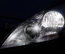 Pack lâmpadas para faróis Xénon Efeito para Peugeot 3008