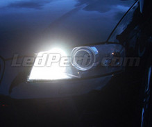 Pack luzes de circulação diurna (branco xénon) para Audi A6 C6