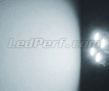 Pack de luzes de presença de LED (branco xénon) para Alfa Romeo GTV 916