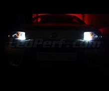 Pack luzes de presença (branco xénon) para Fiat Punto MK2