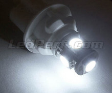 Pack de luzes de presença de LED (branco xénon) para Volkswagen Passat CC